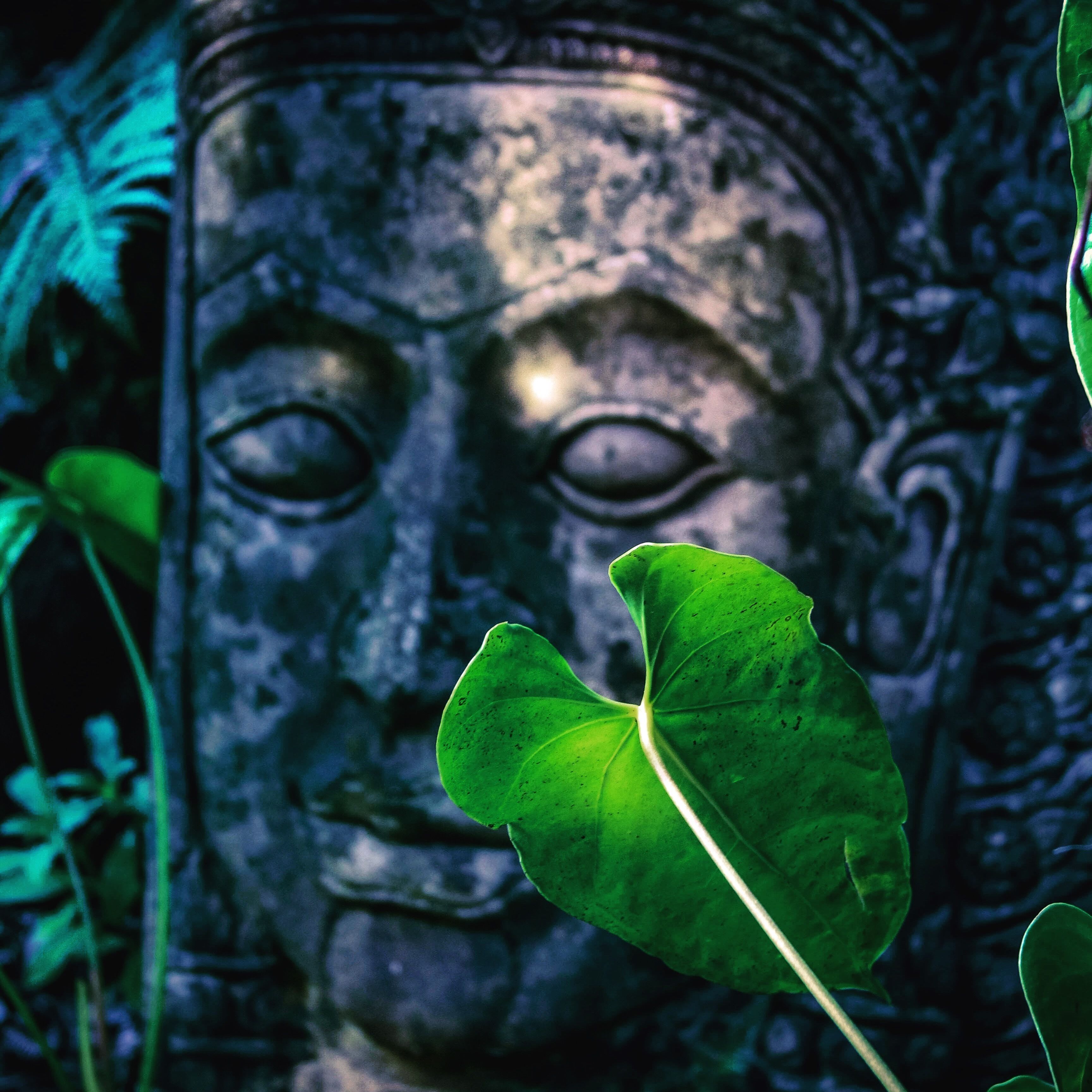 A statue with a blurred face, surrounded by greenery.