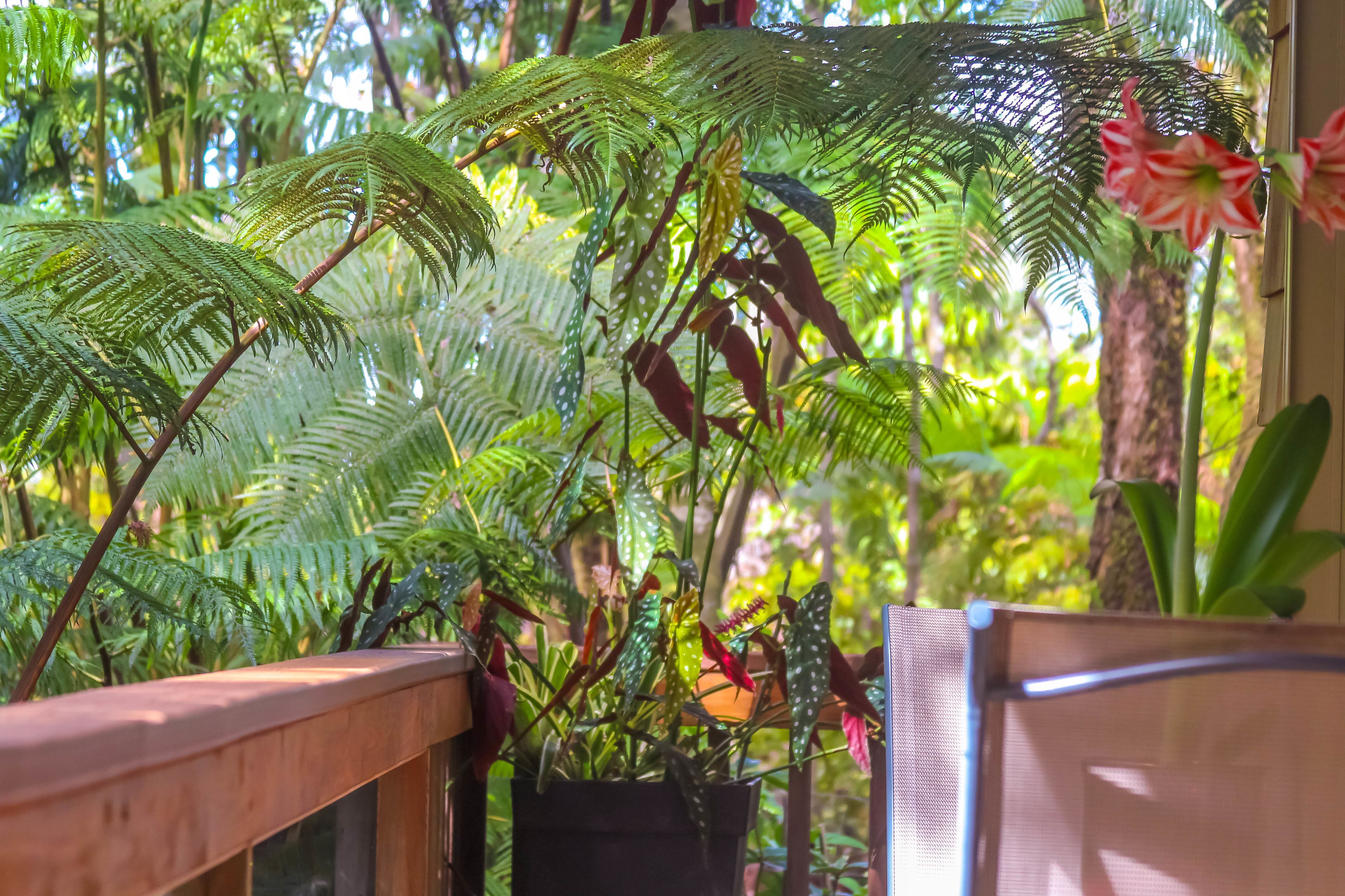 A potted fern plant with a wooden railing and a chair.