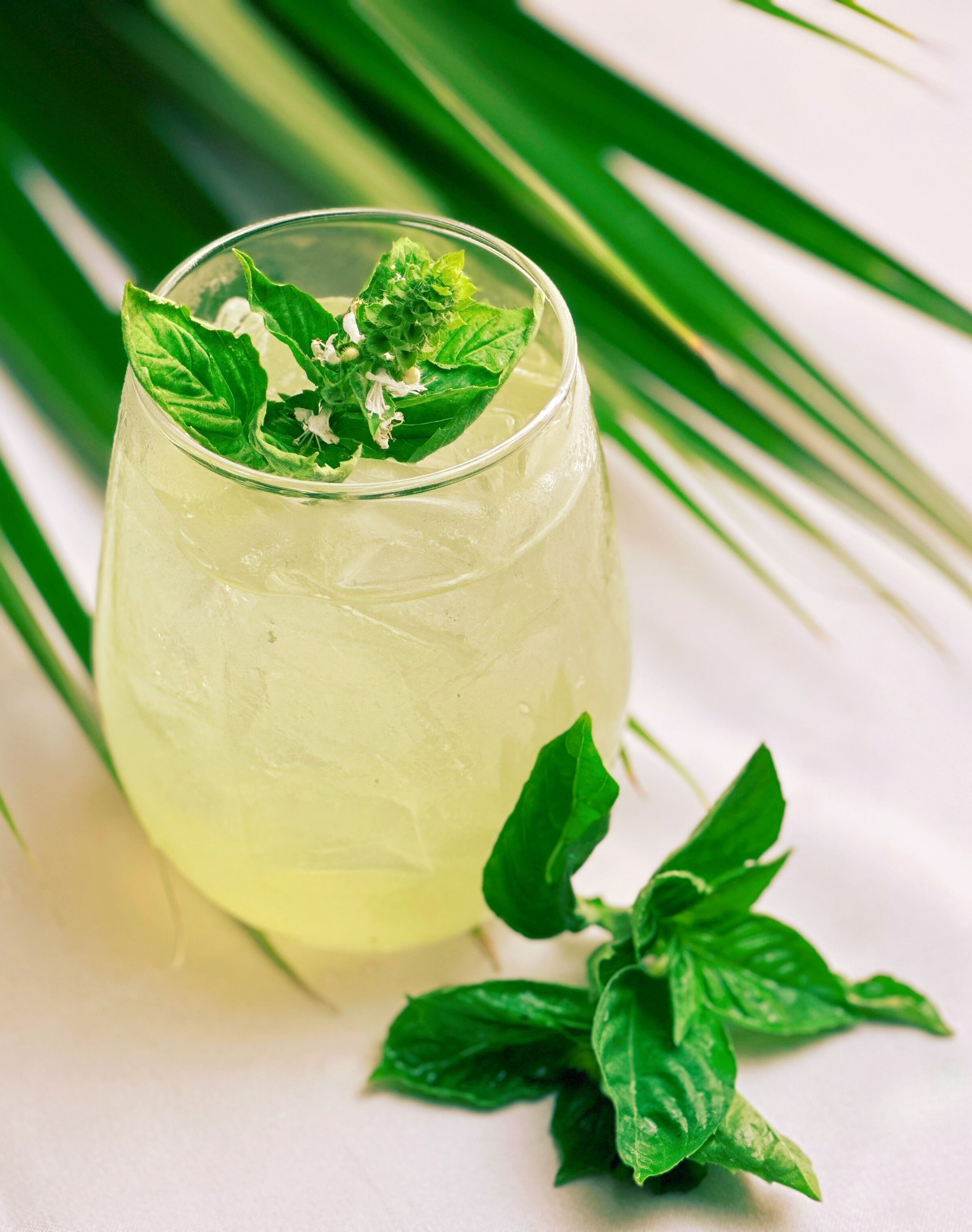 A clear glass with a yellowish beverage, mint leaves, and a mint sprig on the rim, set against a white background with green leaves.