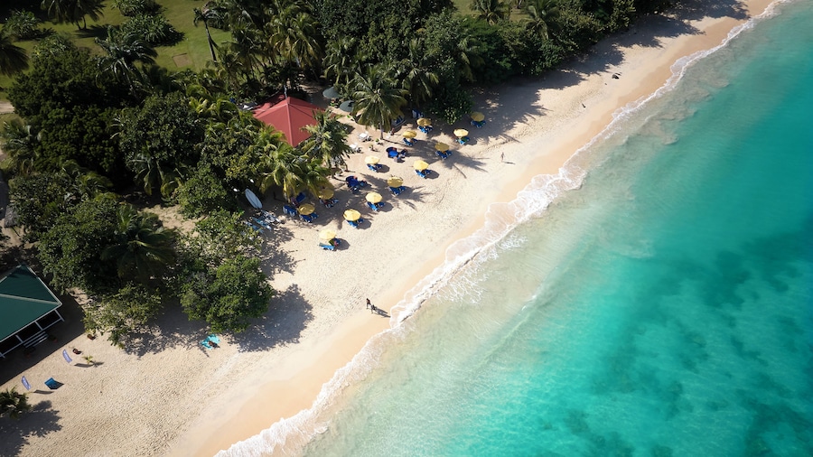 Mount Cinnamon Beach & Wellness Resort