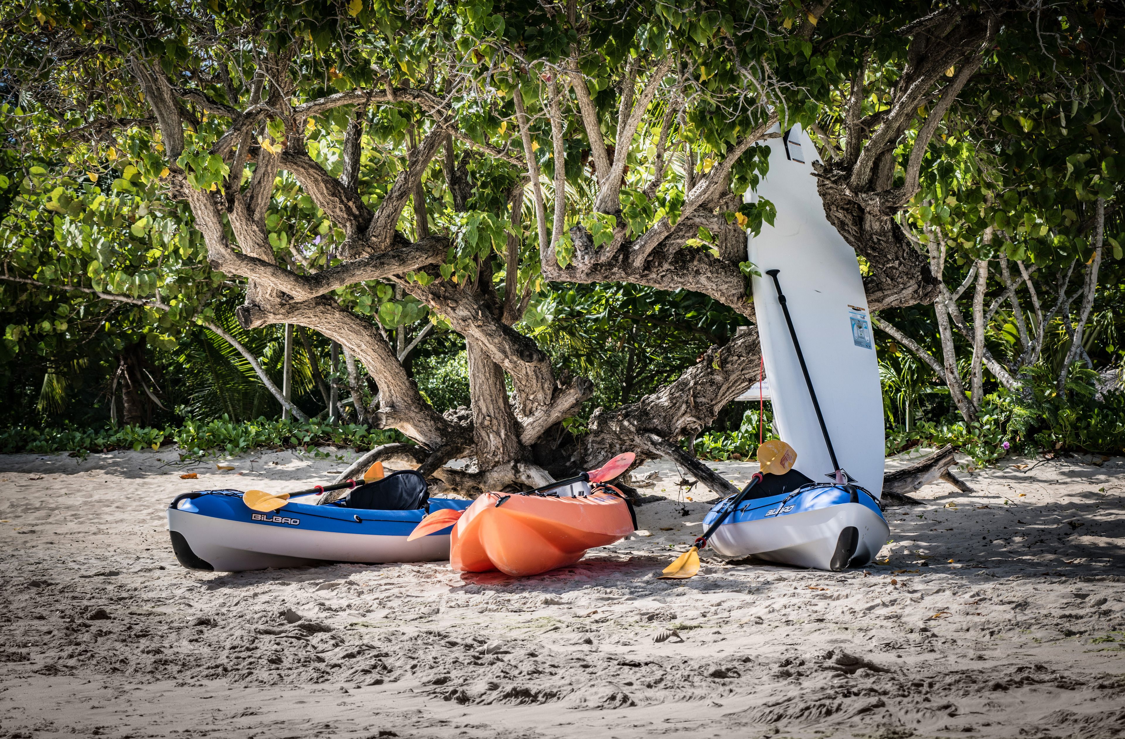 Dos kayaks y una tabla de surf sobre una playa arenosa con follaje denso al fondo.