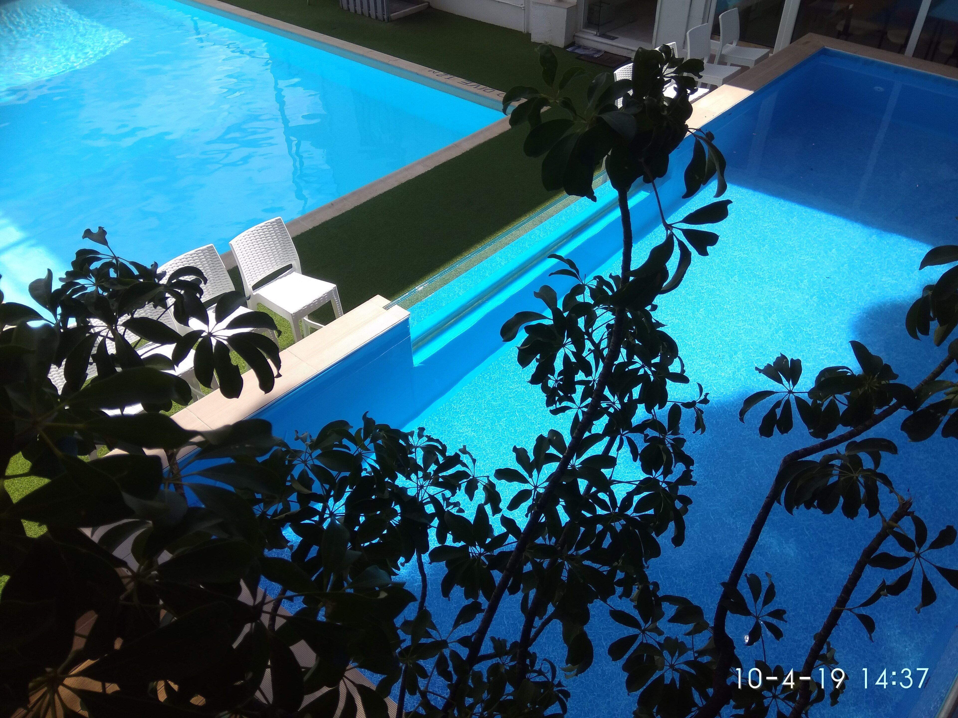 A swimming pool with a clear blue water surface, surrounded by a well-maintained lawn and white lounge chairs.