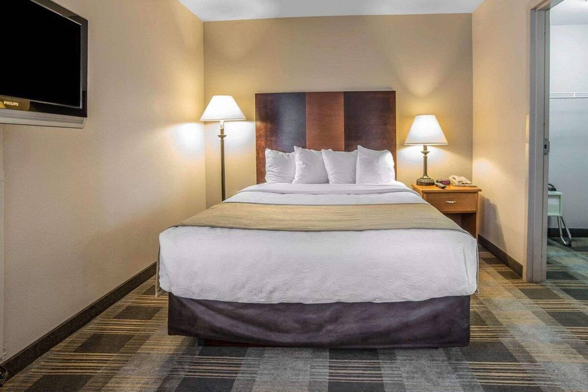 Une chambre d’hôtel avec un grand lit, deux lampes de chevet, un téléviseur à écran plat et un sol recouvert de moquette.