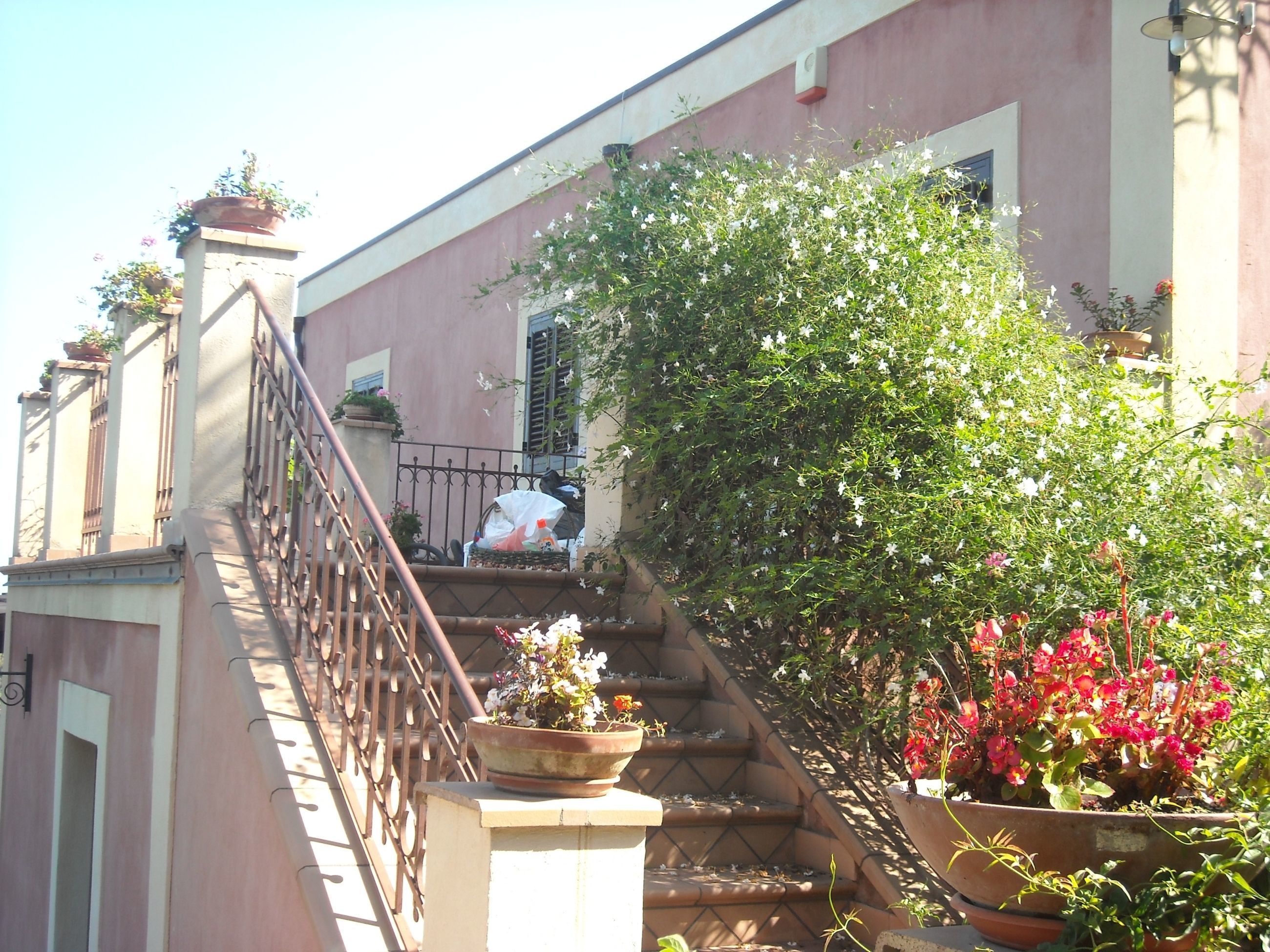 A staircase leading to a building with a metal railing, surrounded by potted plants and flowers.