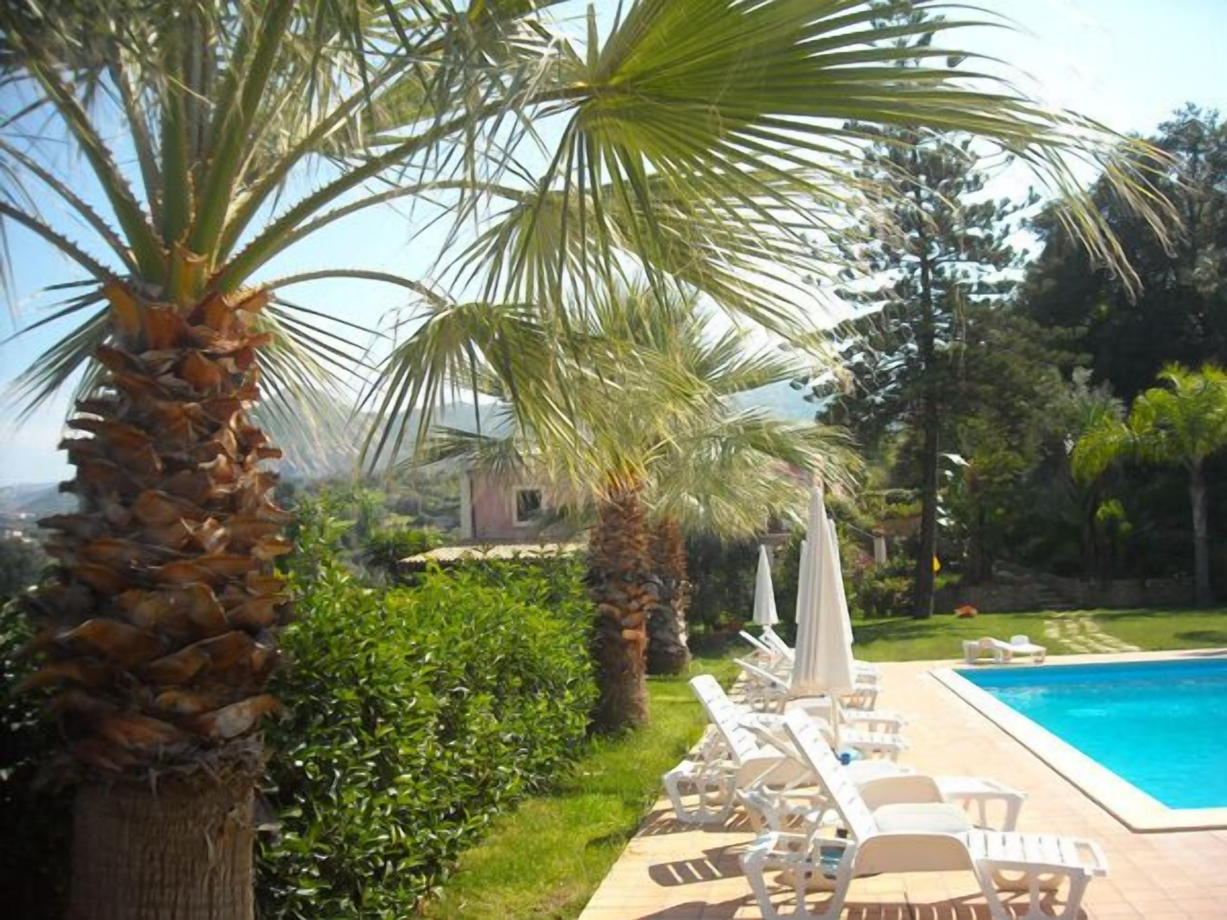 A poolside area with lounge chairs and umbrellas, surrounded by palm trees and greenery.