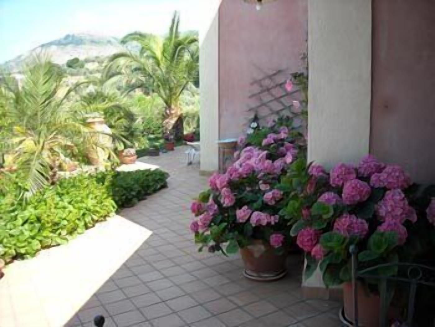 Un espace patio agrémenté de plantes et de fleurs en pot, doté d’un sol carrelé et offrant une vue sur un paysage montagneux.