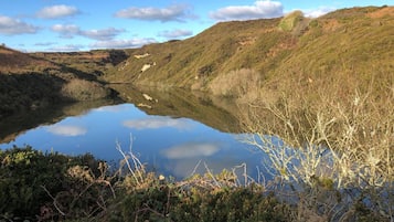A serene lake surrounded by hills with dense vegetation and a clear sky.