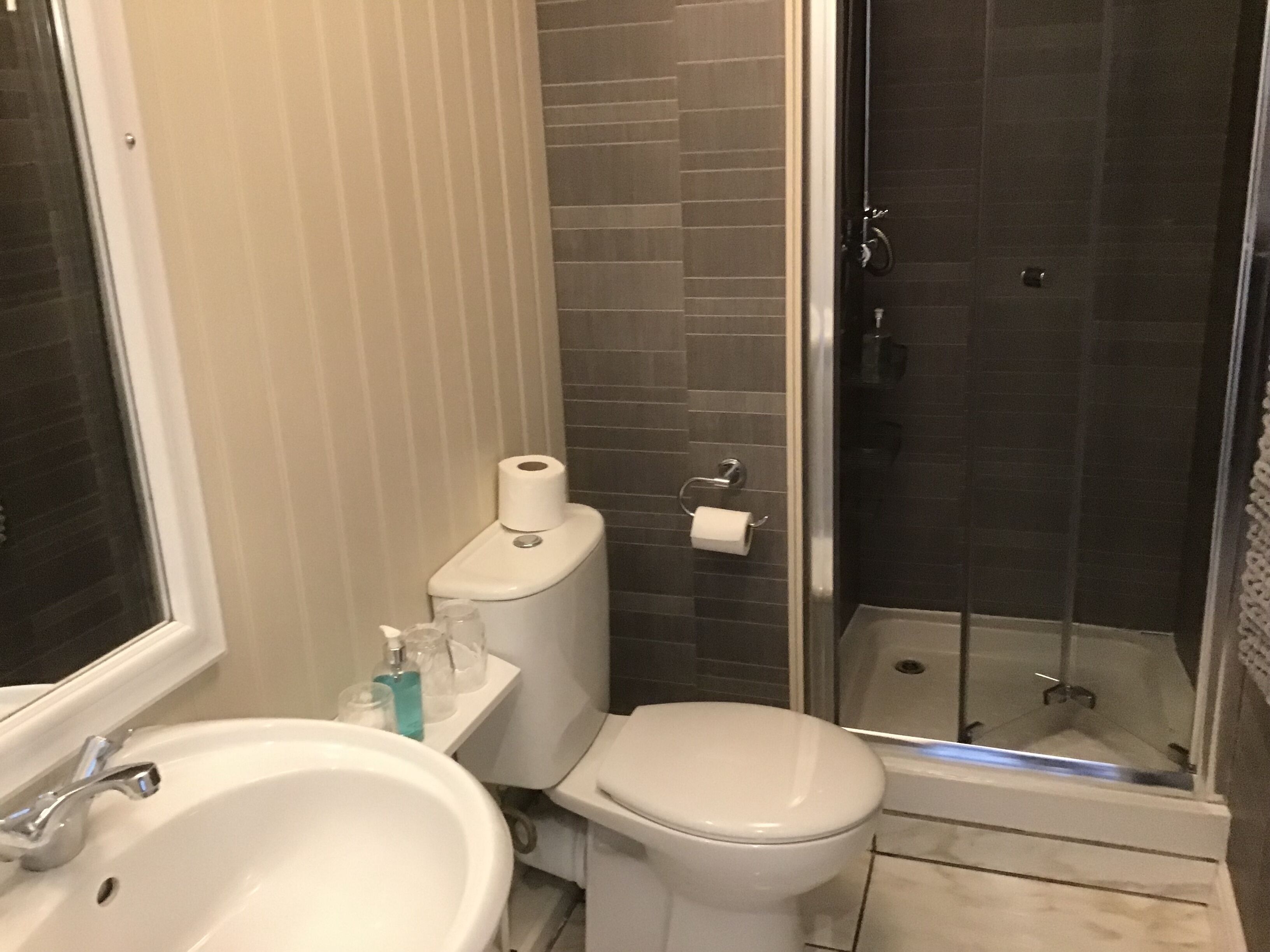 A bathroom with a sink, toilet, and shower.
