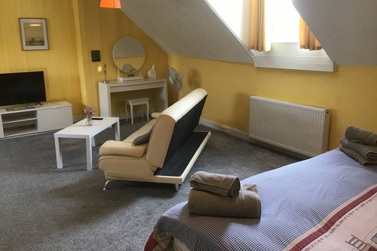 A room with a bed, a sofa, a desk, a TV, and a radiator.