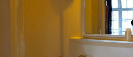 Secador de pelo y papel higiénico