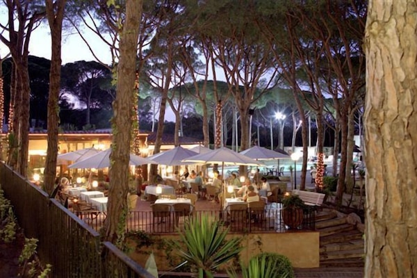 Se sirven desayunos, almuerzos y cenas; cocina regional