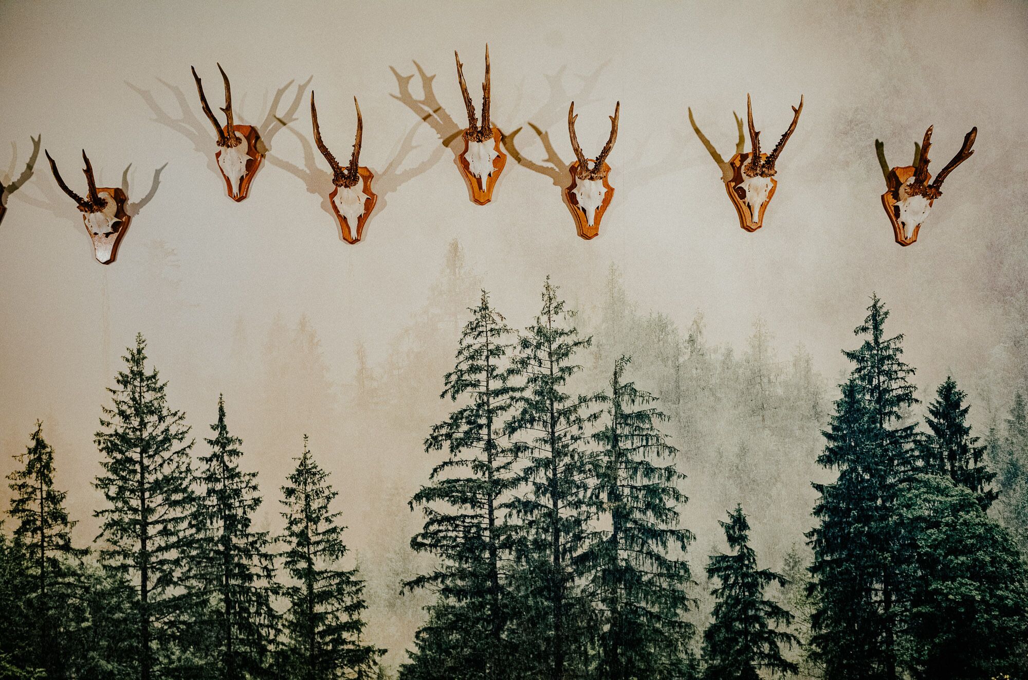 Una pared con cráneos de animales montados y un fondo de bosque.