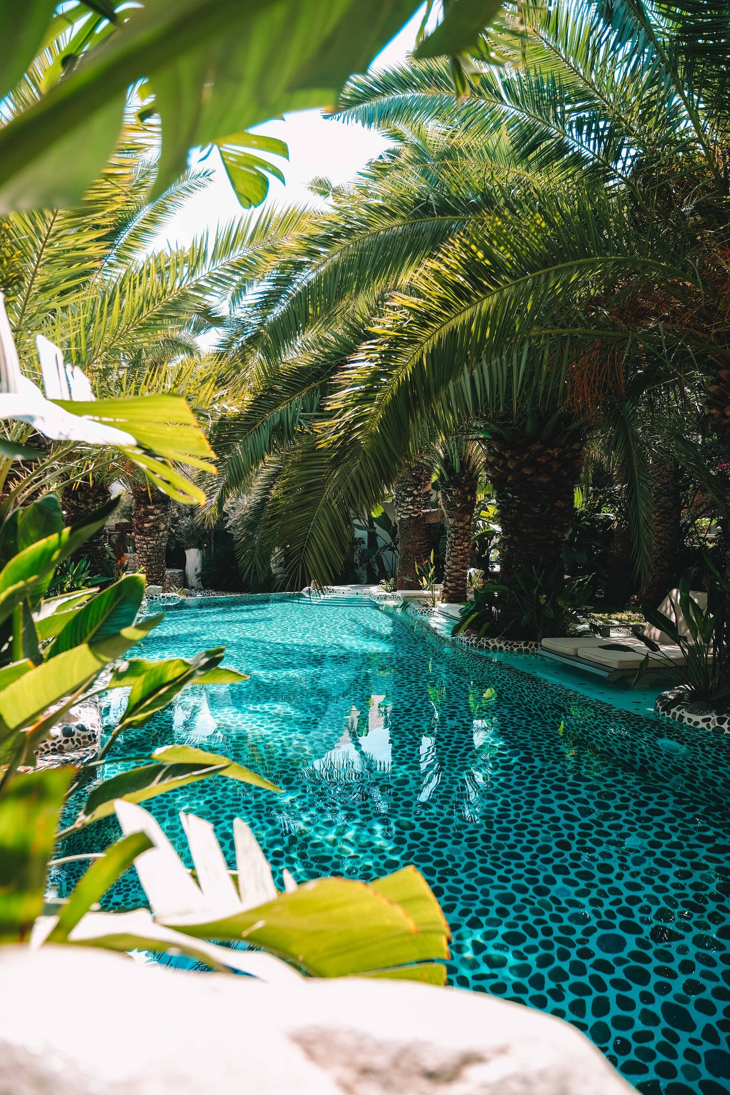 Foto - Flamingo Hotel & Spa - Pet Friendly