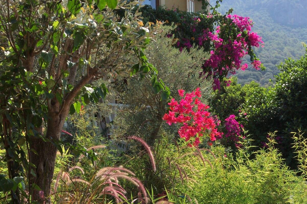 Un espace aménagé au bord de la piscine, avec une terrasse en bois, des coussins de couleur beige et une vue sur un paysage montagneux.