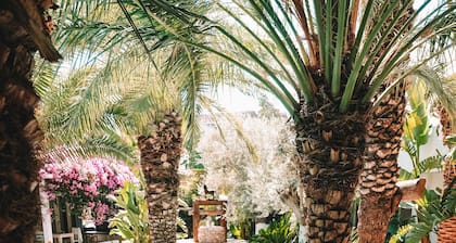 Flamingo Hotel & Spa - Pet Friendly