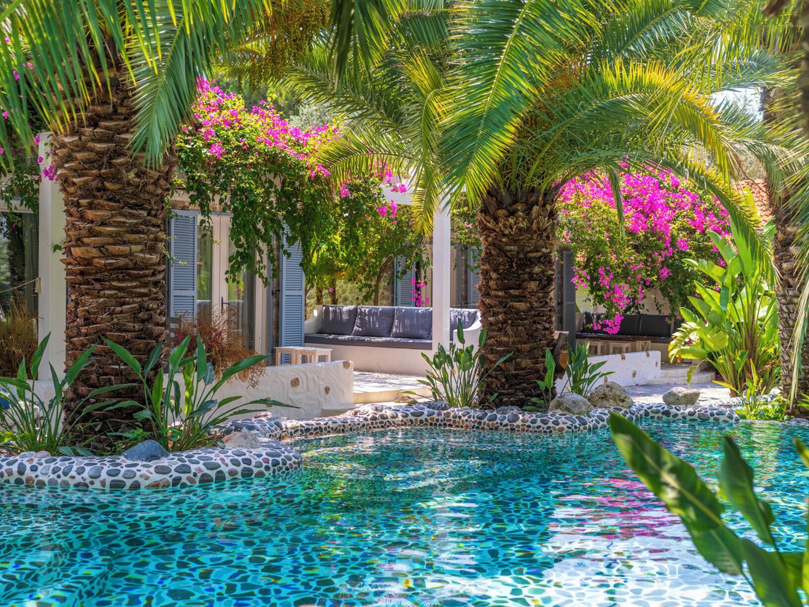 Zona de piscina con palmeras, flores rosadas y un área de descanso con pared blanca y contraventanas azules.