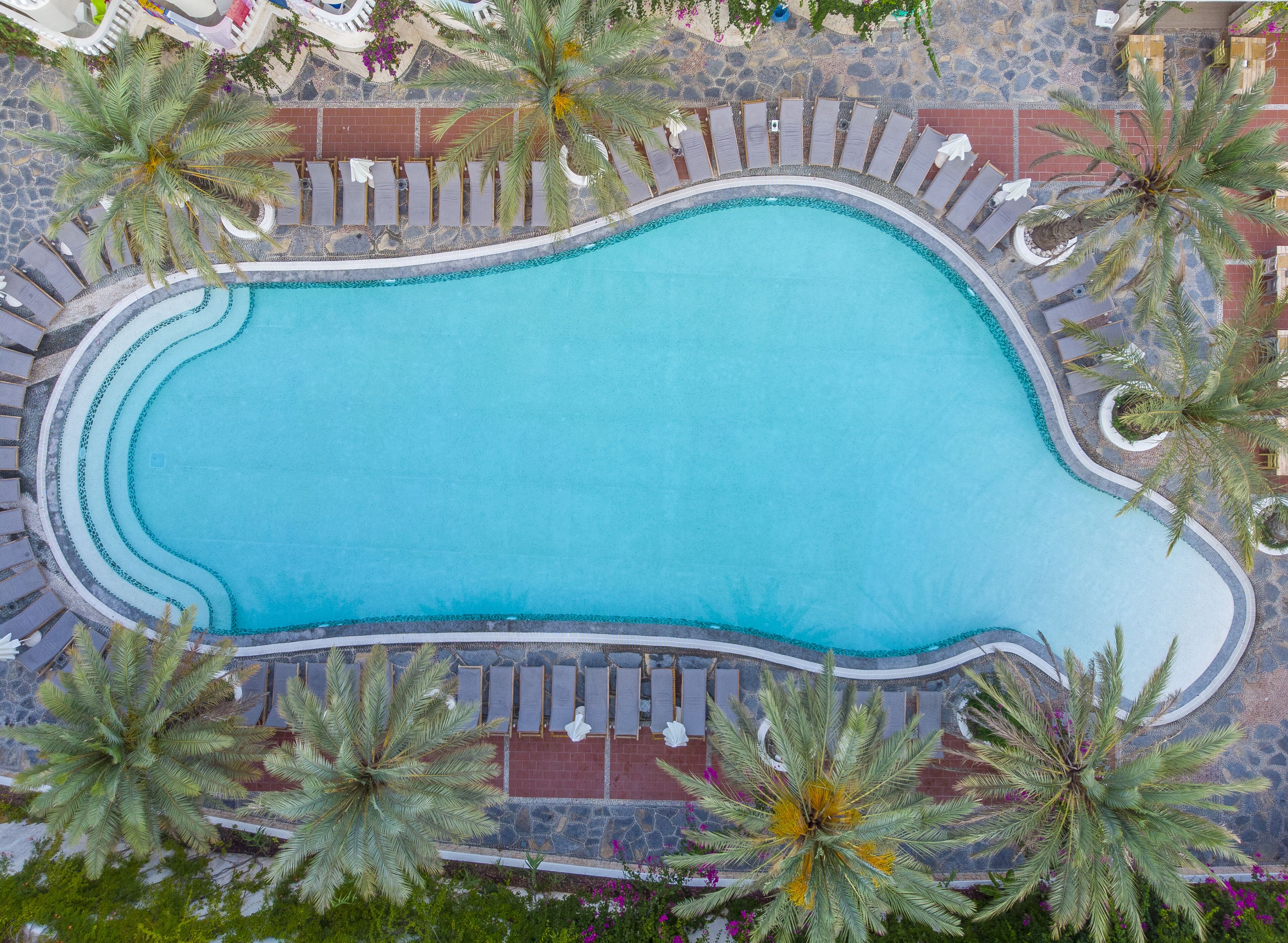 An aerial view of a swimming pool surrounded by lounge chairs and palm trees.