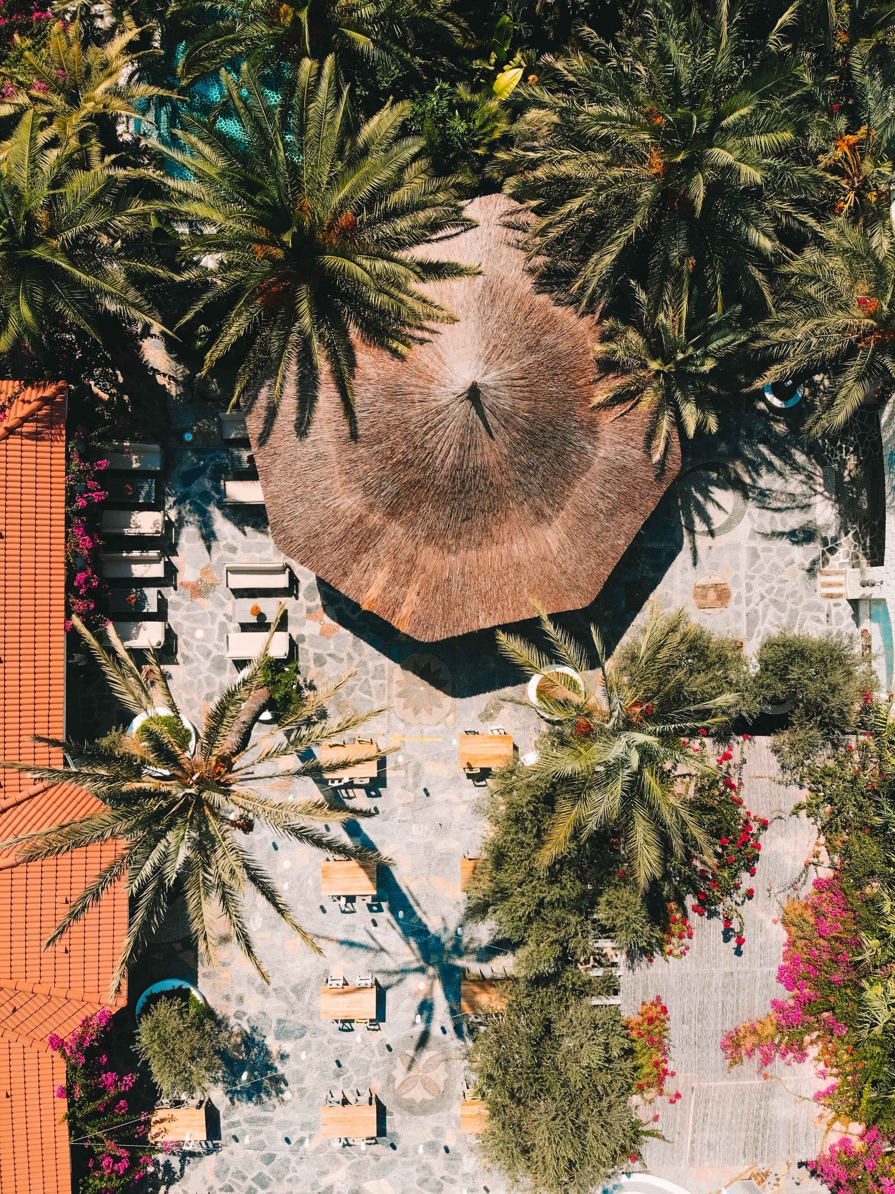 Foto - Flamingo Hotel & Spa - Pet Friendly