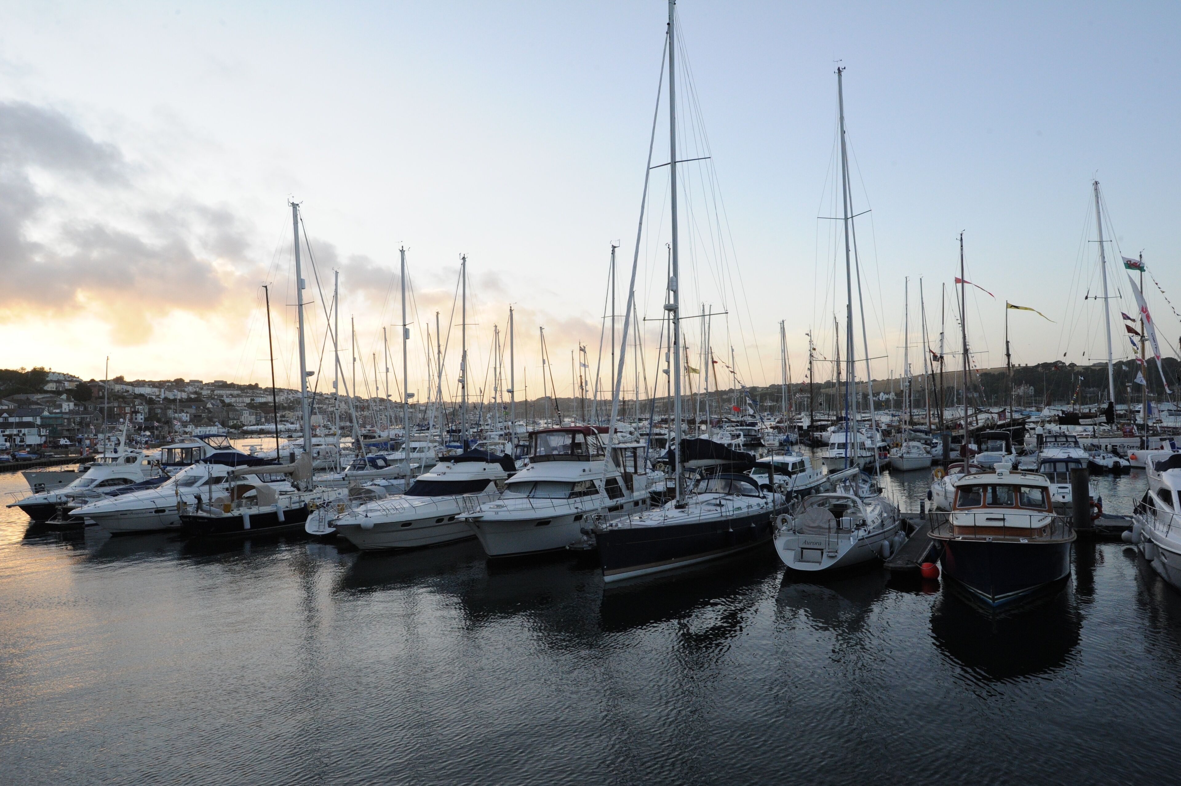 A marina with multiple sailboats docked.