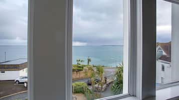 Habitación doble superior, baño en la habitación, vista al mar (with bath or shower)