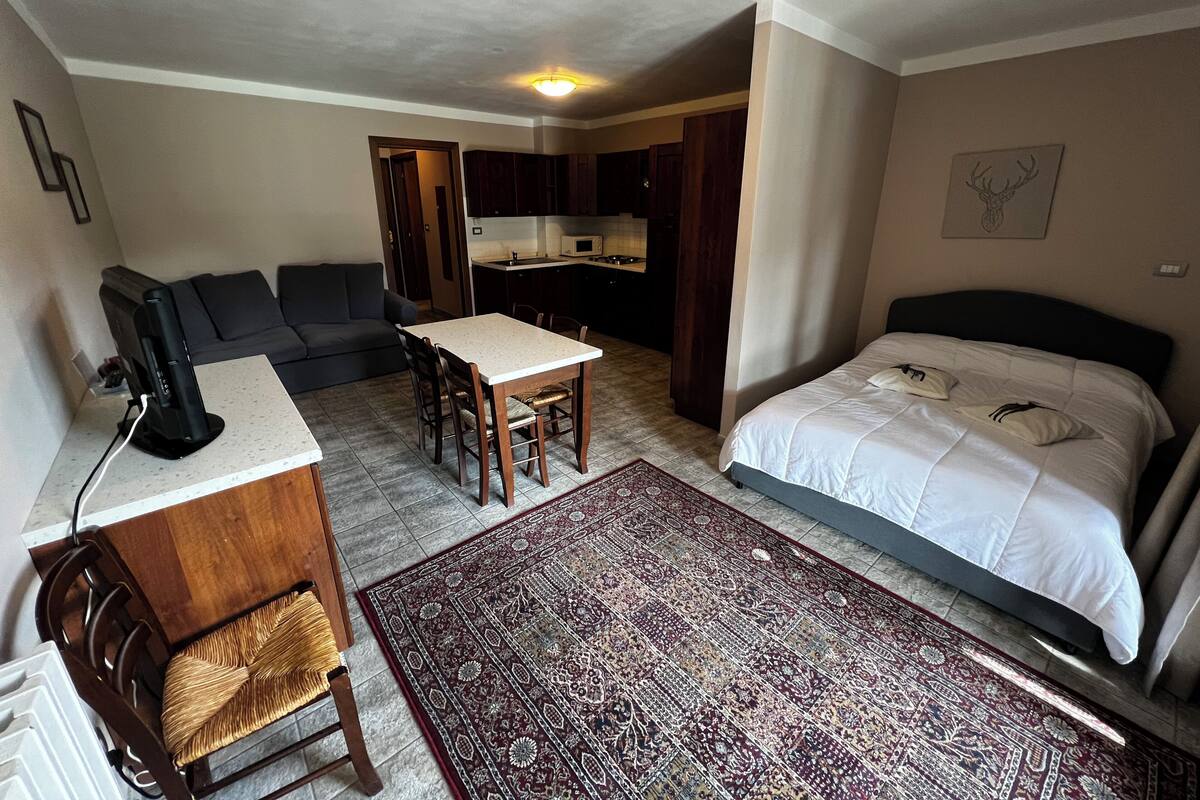 A compact room with a bed, a sofa, a dining table, and a kitchenette.