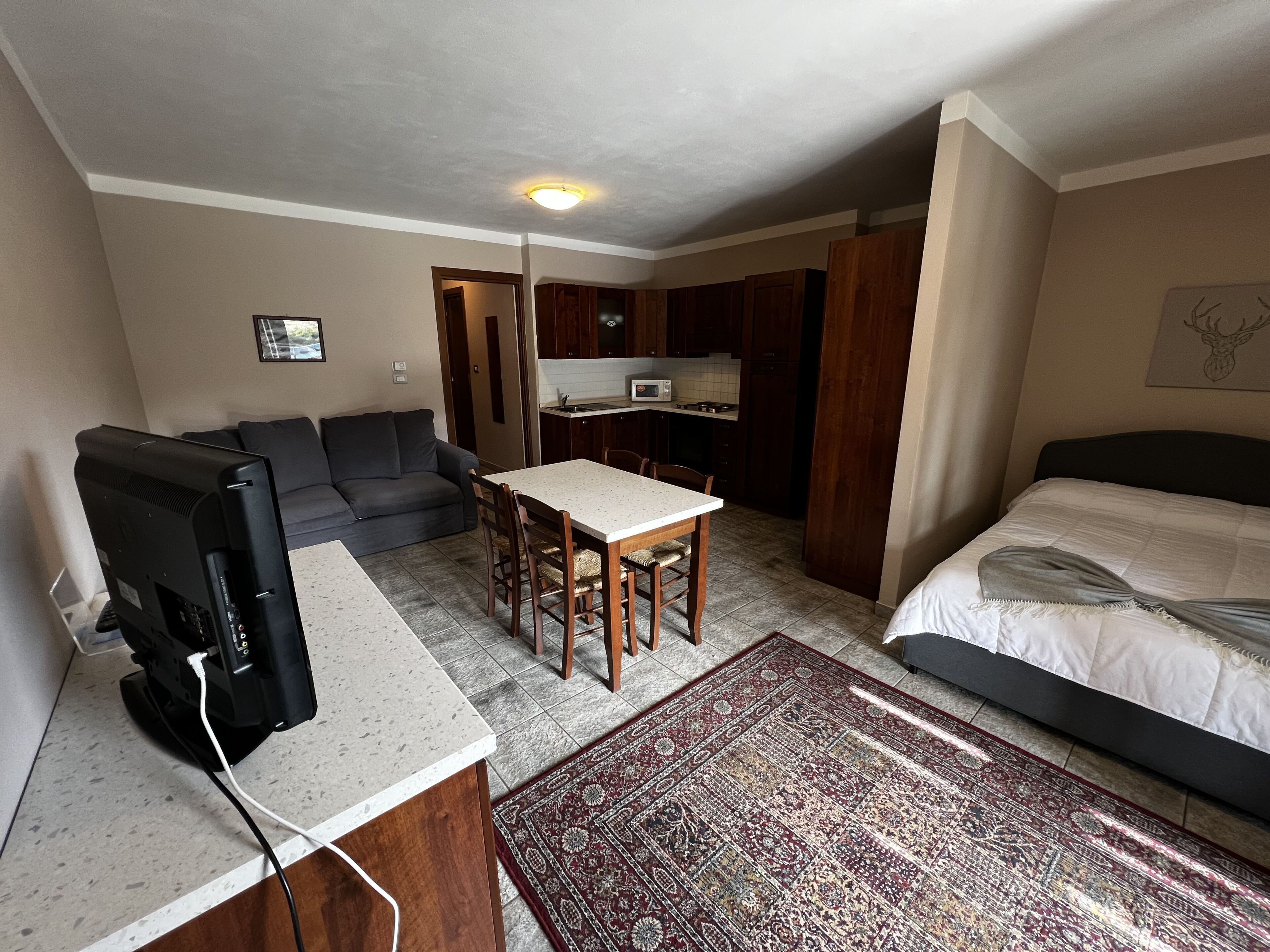 Standard Apartment, 1 Bedroom, Mountain View