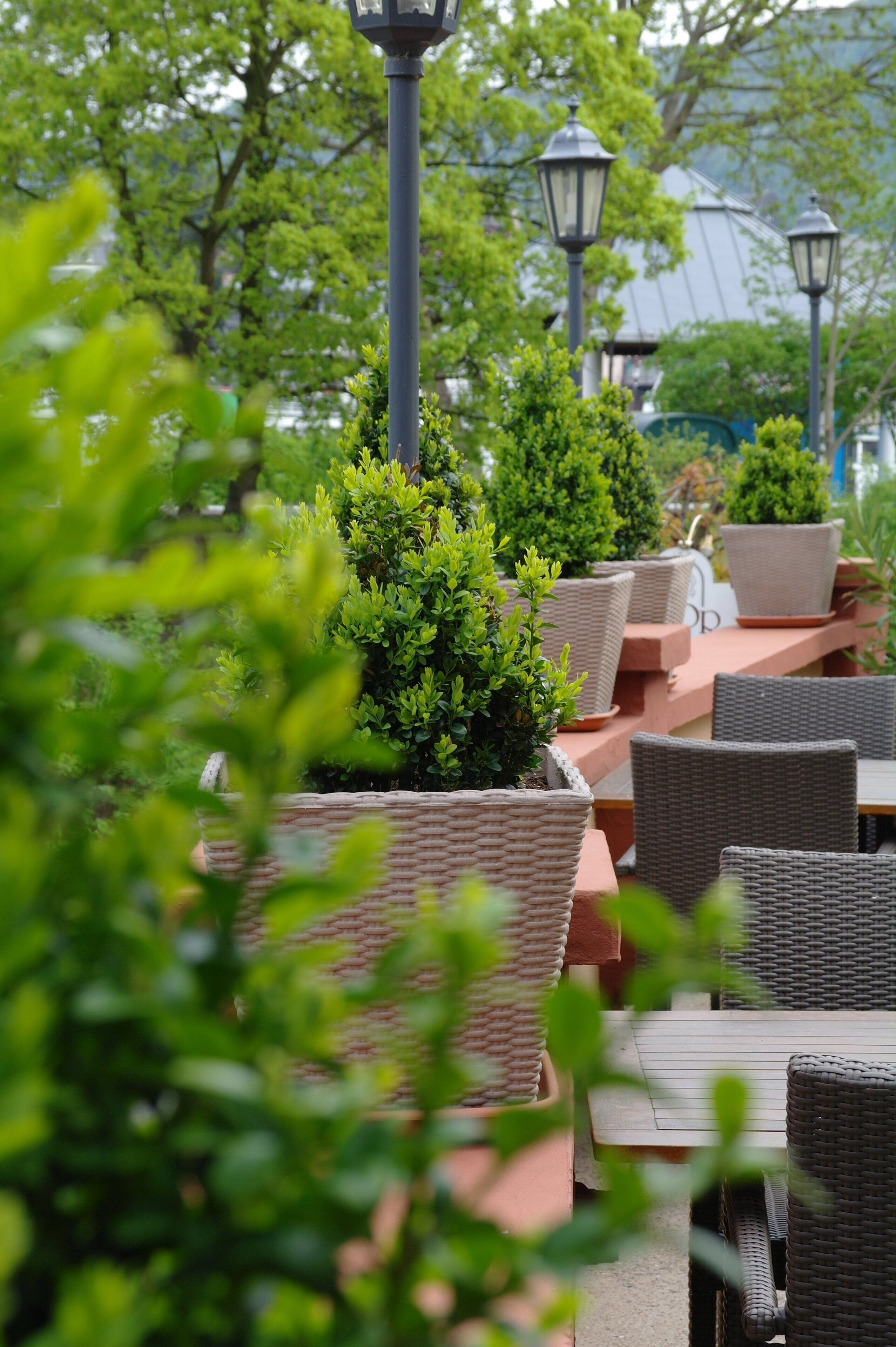 An outdoor seating area with wicker furniture and potted plants.