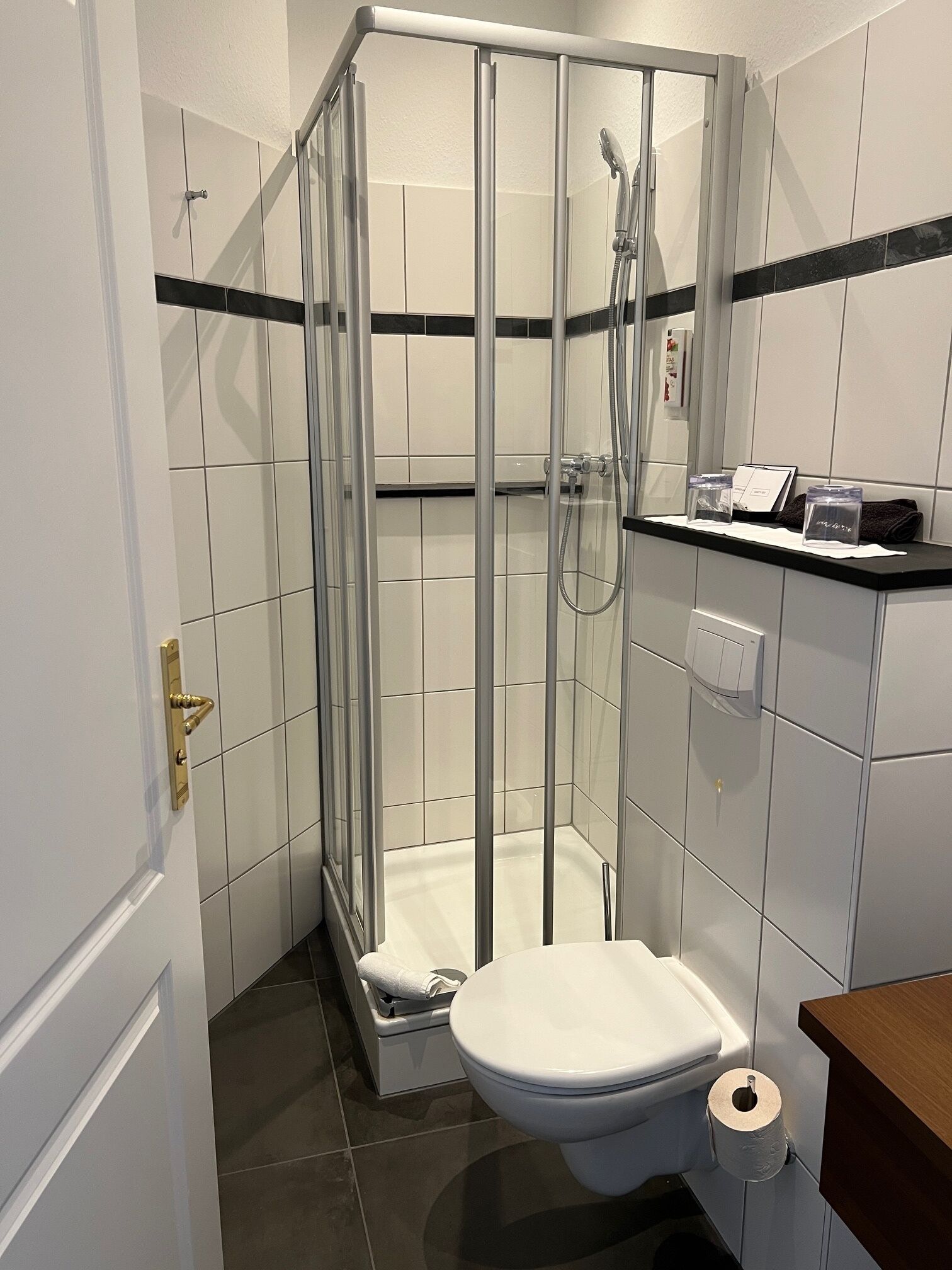 A modern bathroom with a glass-enclosed shower, a toilet, and a sink with a towel rack.