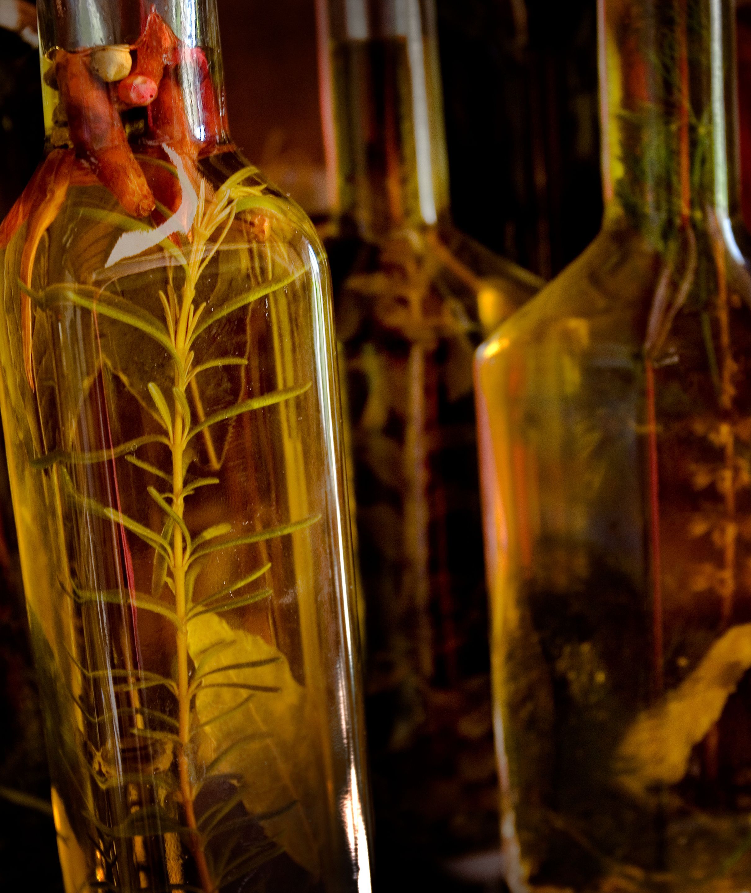 A close-up of a glass bottle with a plant inside, surrounded by other glass bottles.