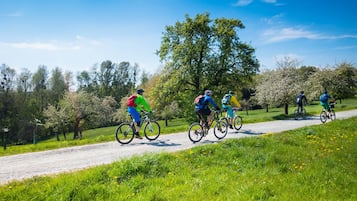 A group of cyclists on a gravel path surrounded by green grass and trees.
