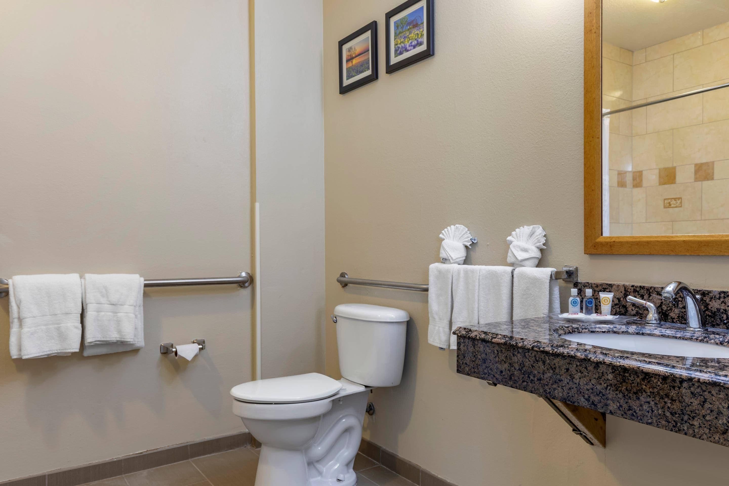A bathroom with a toilet, a sink with a granite countertop, and a mirror.