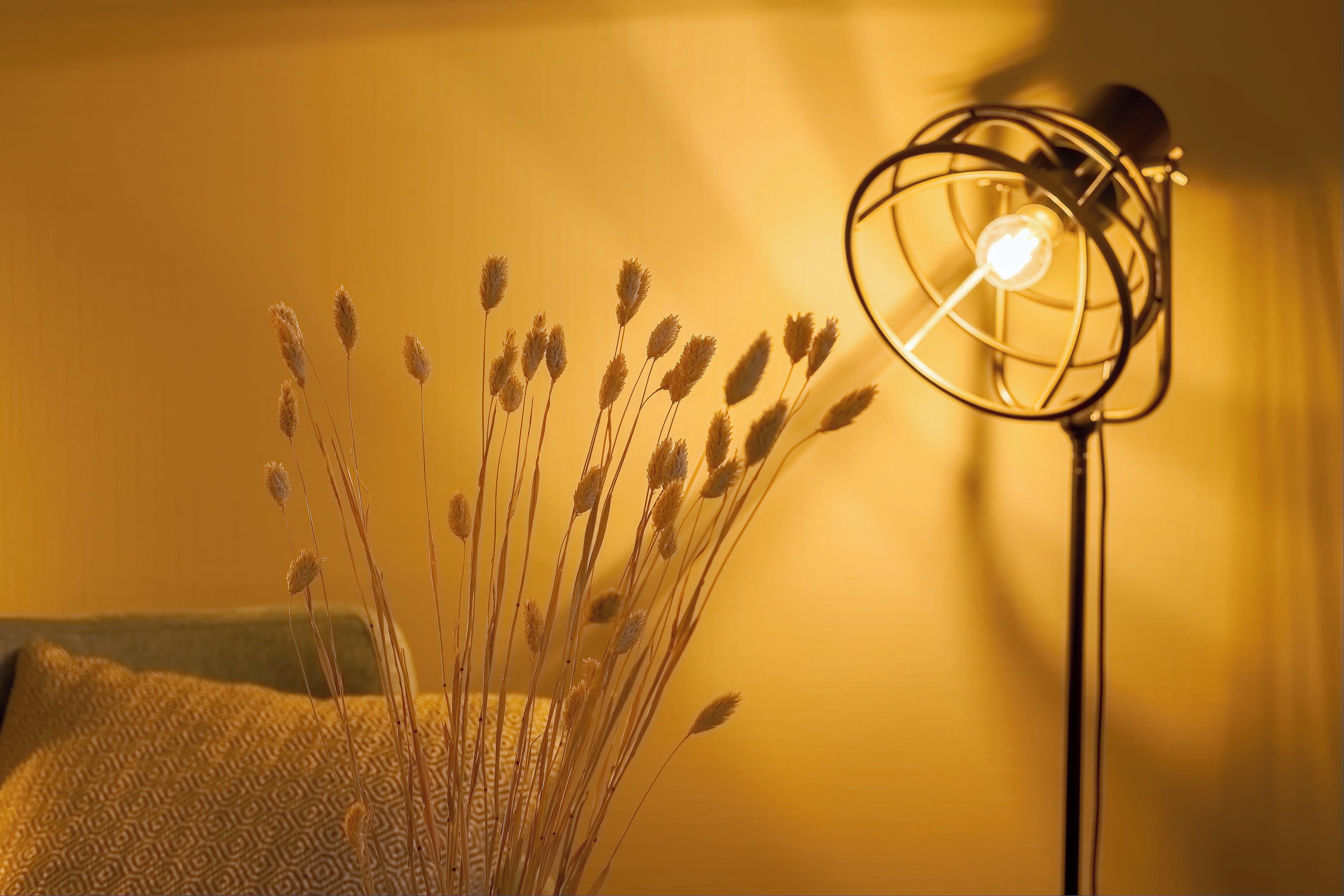 Deluxe Room | Individually decorated, individually furnished, free WiFi, bed sheets