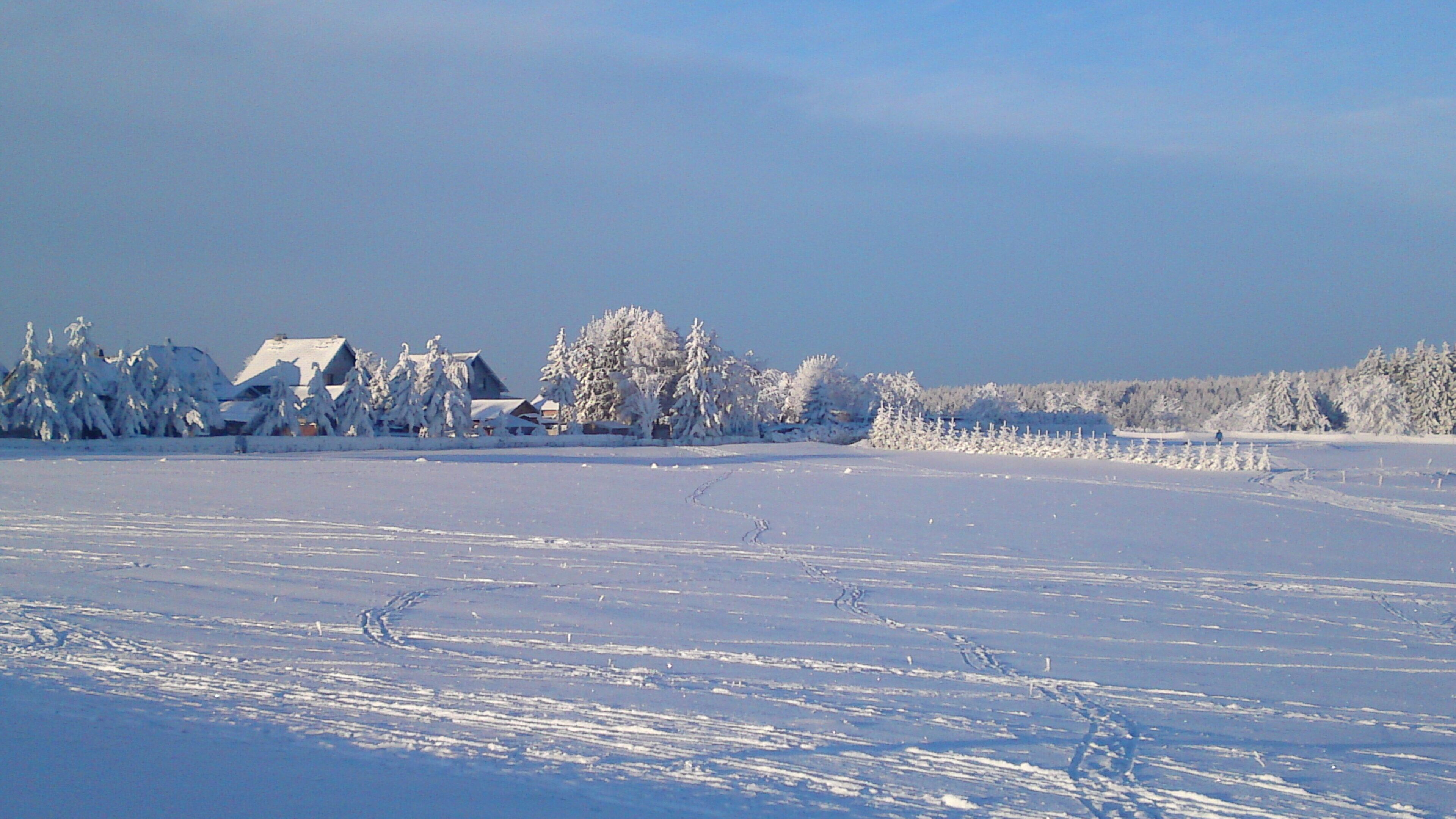 A snowy landscape with a house and trees covered in snow.