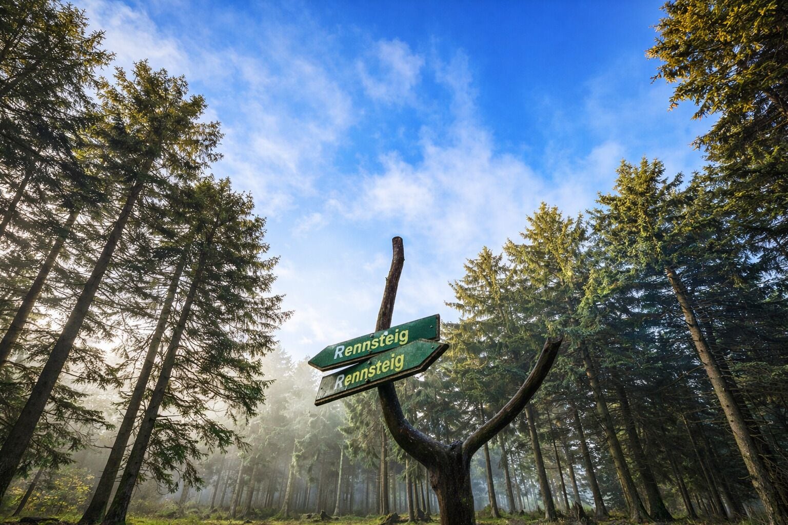 Une forêt avec un panneau indicateur indiquant les directions vers le « Rennsteig ».