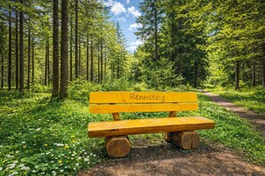 A bench with 'Rennsteig' engraved on it, surrounded by a forest path and greenery. - Hotel Kammweg (Grossbreitenbach)