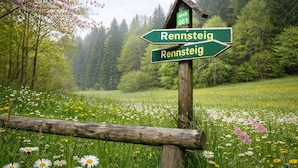 A directional signpost in a natural setting with a forest in the background.
