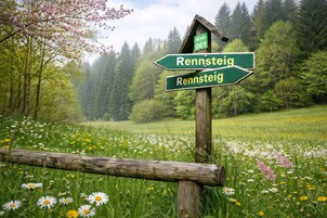 A directional signpost in a natural setting with a forest in the background.