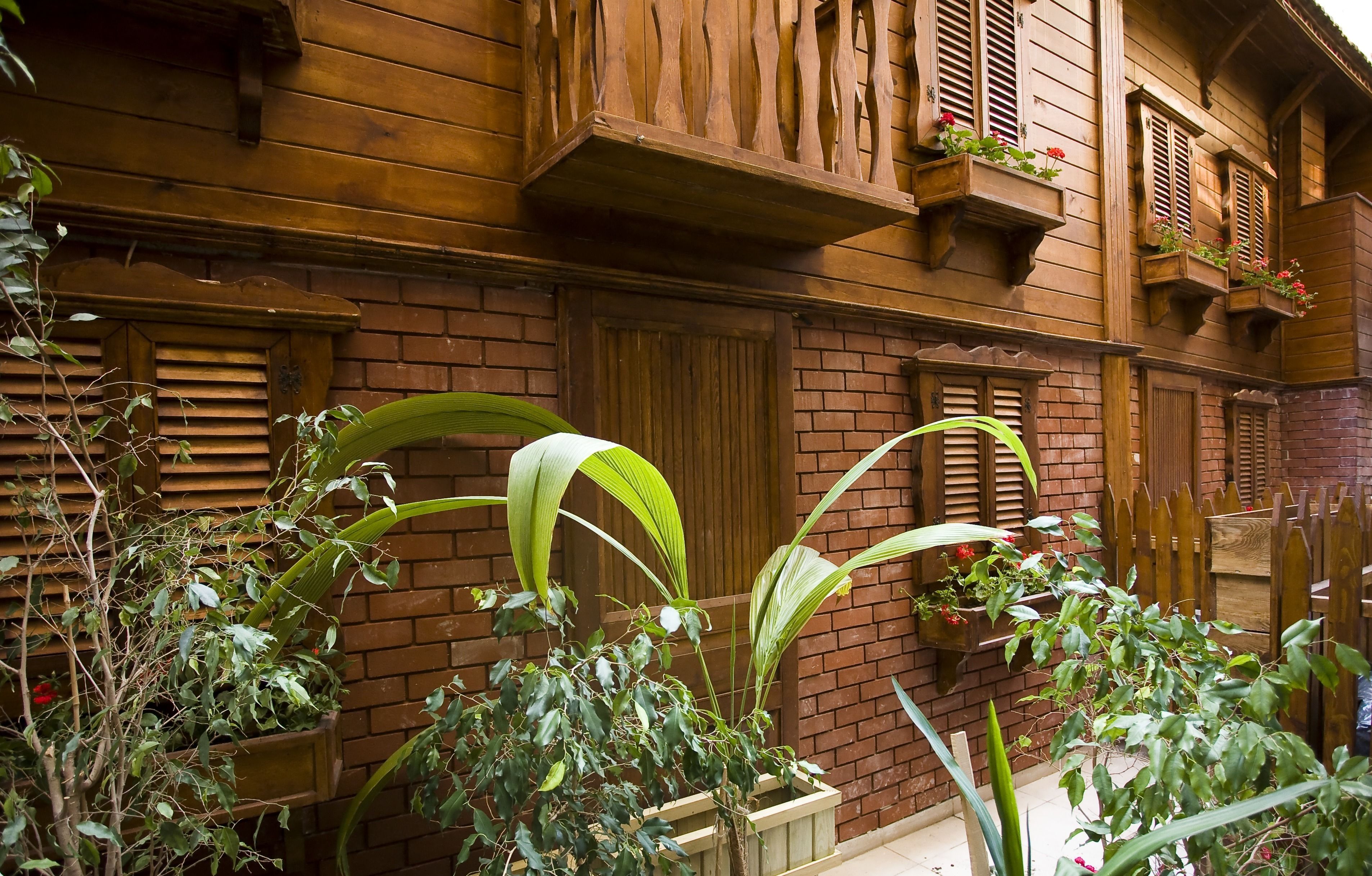 Blick auf den Garten