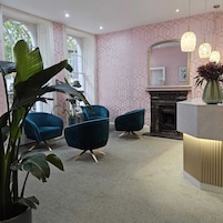 Un salon moderne avec un papier peint géométrique rose, deux fauteuils bleus, une grande plante verte et une cheminée.