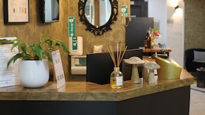 A reception desk with a potted plant, a mirror, a sign, and a bottle of reed diffuser. - Le Regina (Canet-en-Roussillon)