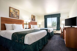 Blackout drapes, soundproofing, iron/ironing board