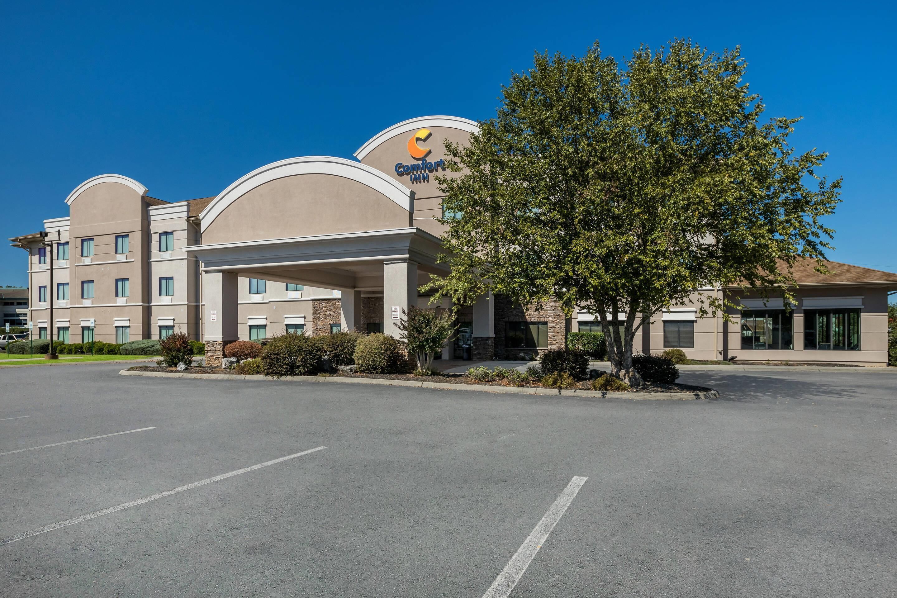 A Comfort Inn hotel with a parking lot and a large tree in front.
