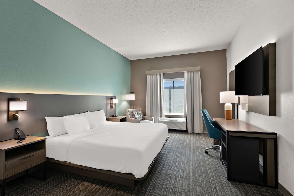 Standard Room, 1 King Bed, Non Smoking | Premium bedding, down comforters, pillowtop beds, desk