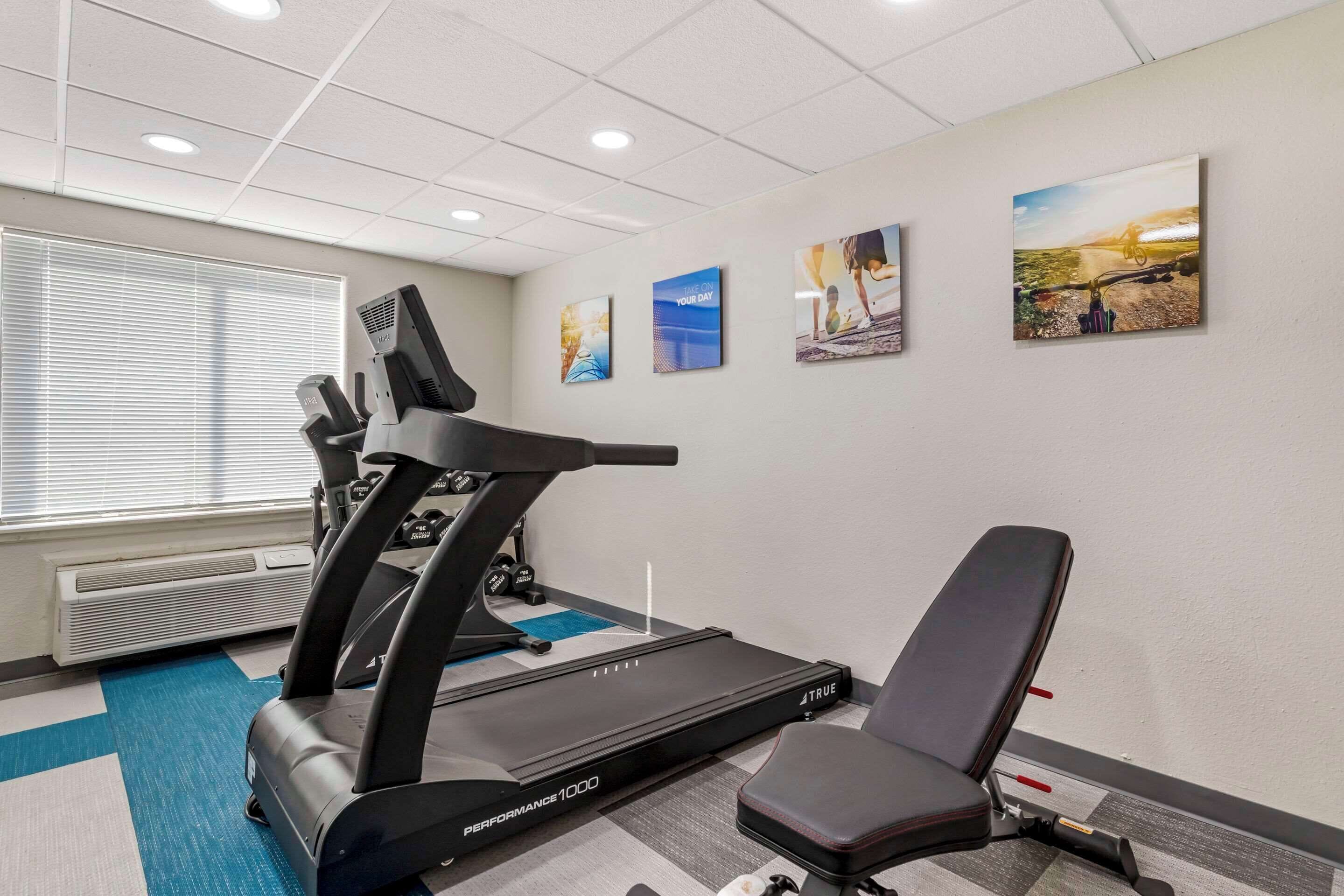 A gym with a treadmill, a stationary bike, and a bench. There are four framed pictures on the wall.