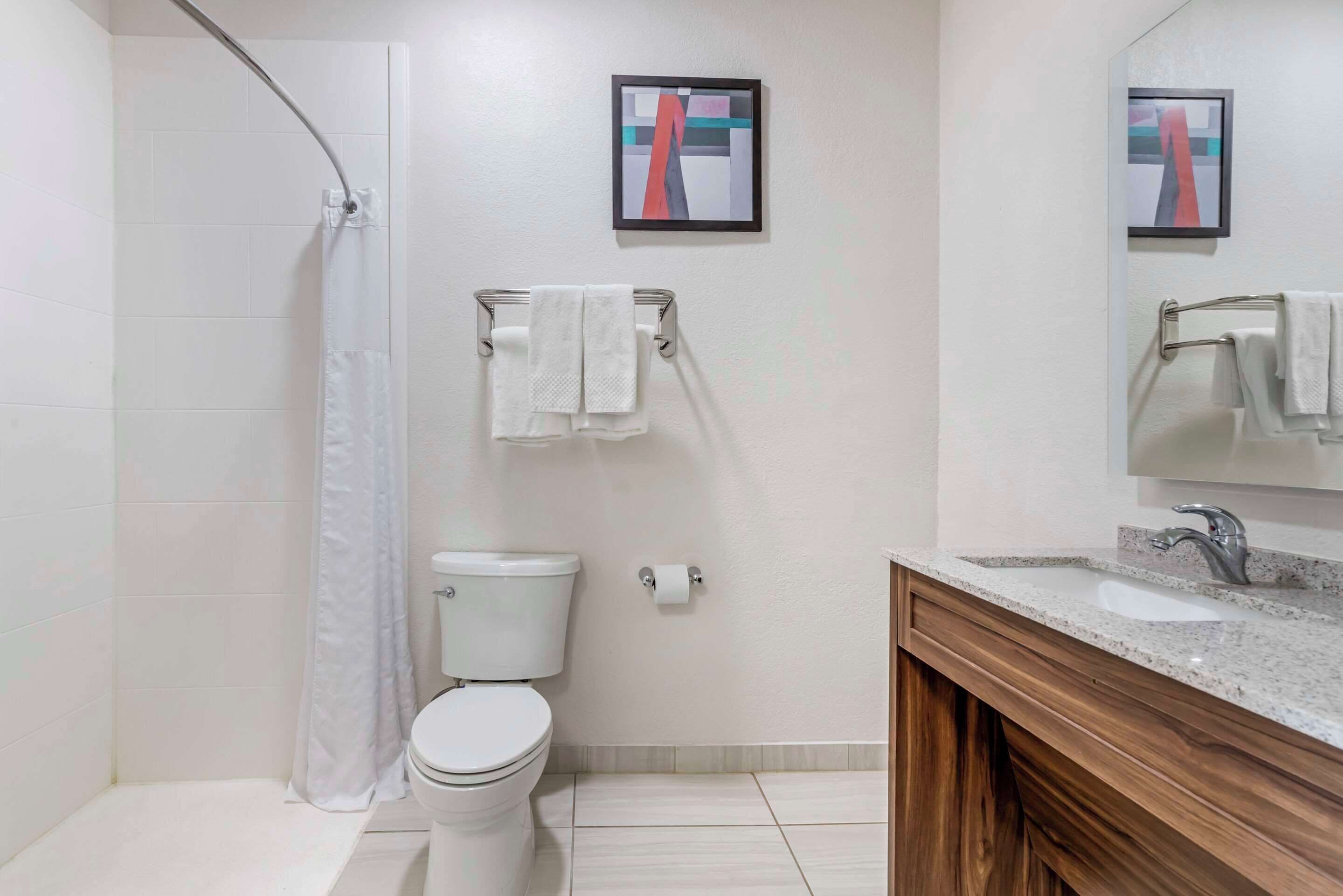A modern bathroom with a shower, toilet, and vanity.