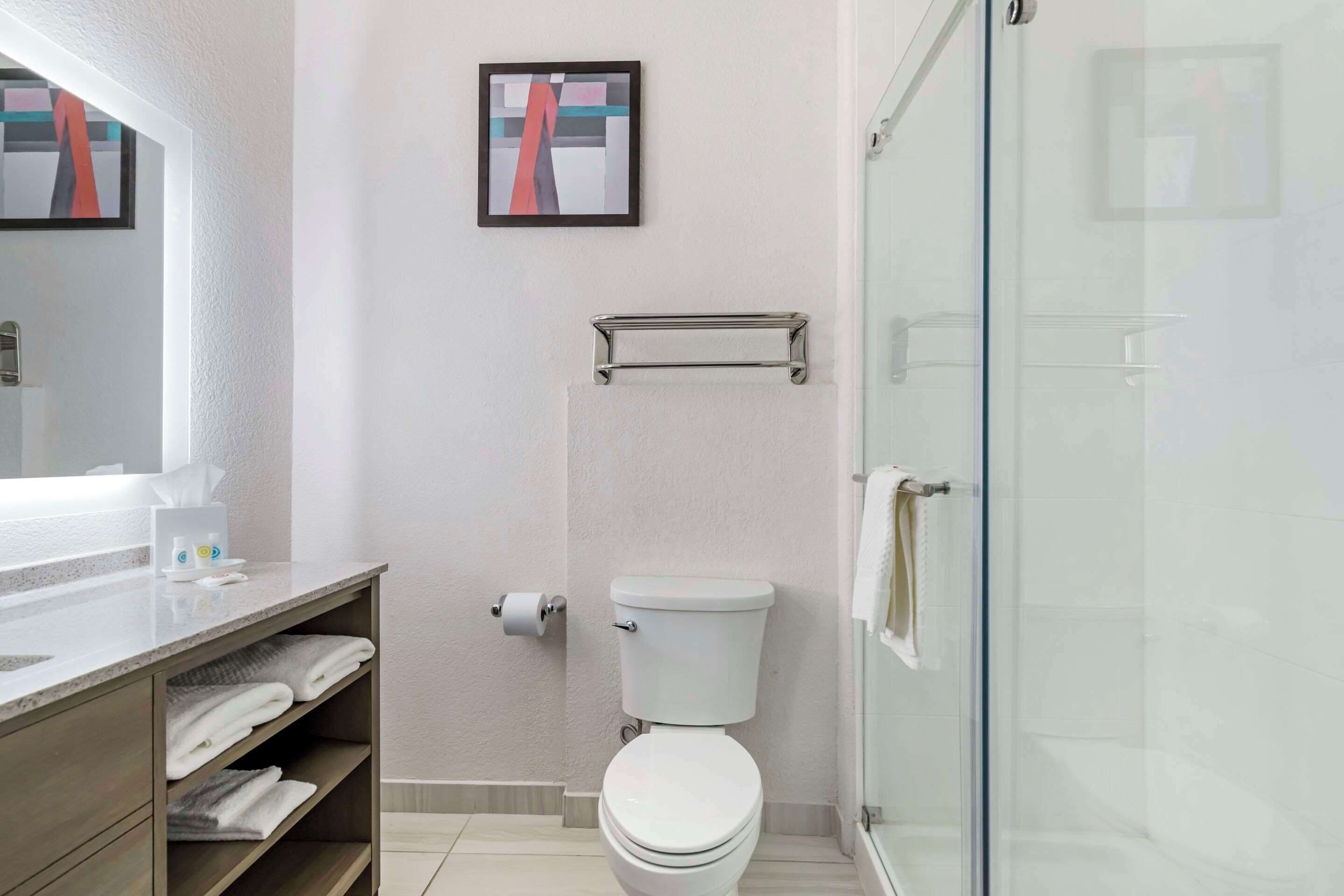 A modern bathroom with a toilet, a glass shower enclosure, a towel rack, and a sink with a mirror.