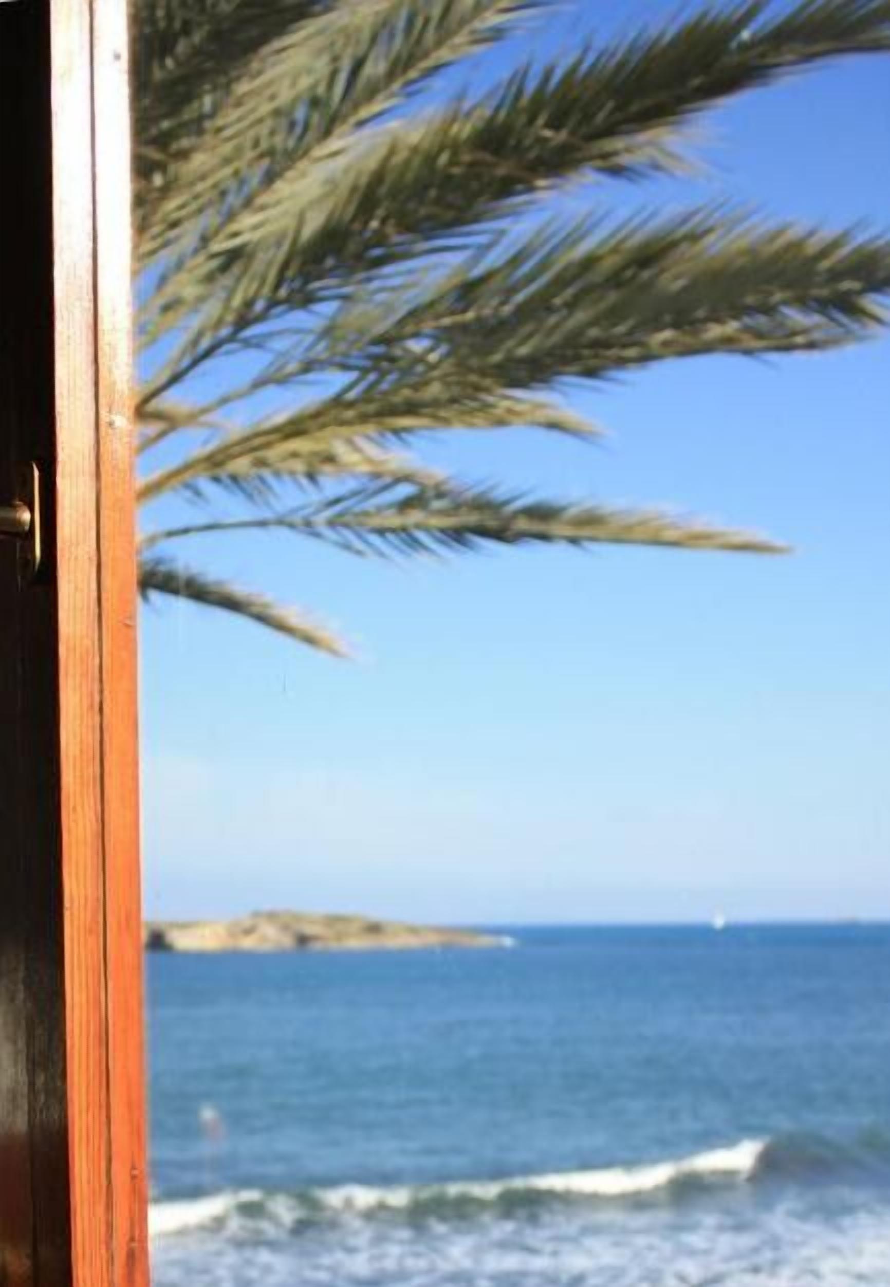 Plage à proximité, sable blanc, chaises longues, parasols