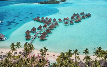 An overwater bungalows arrangement with a beach and palm trees.