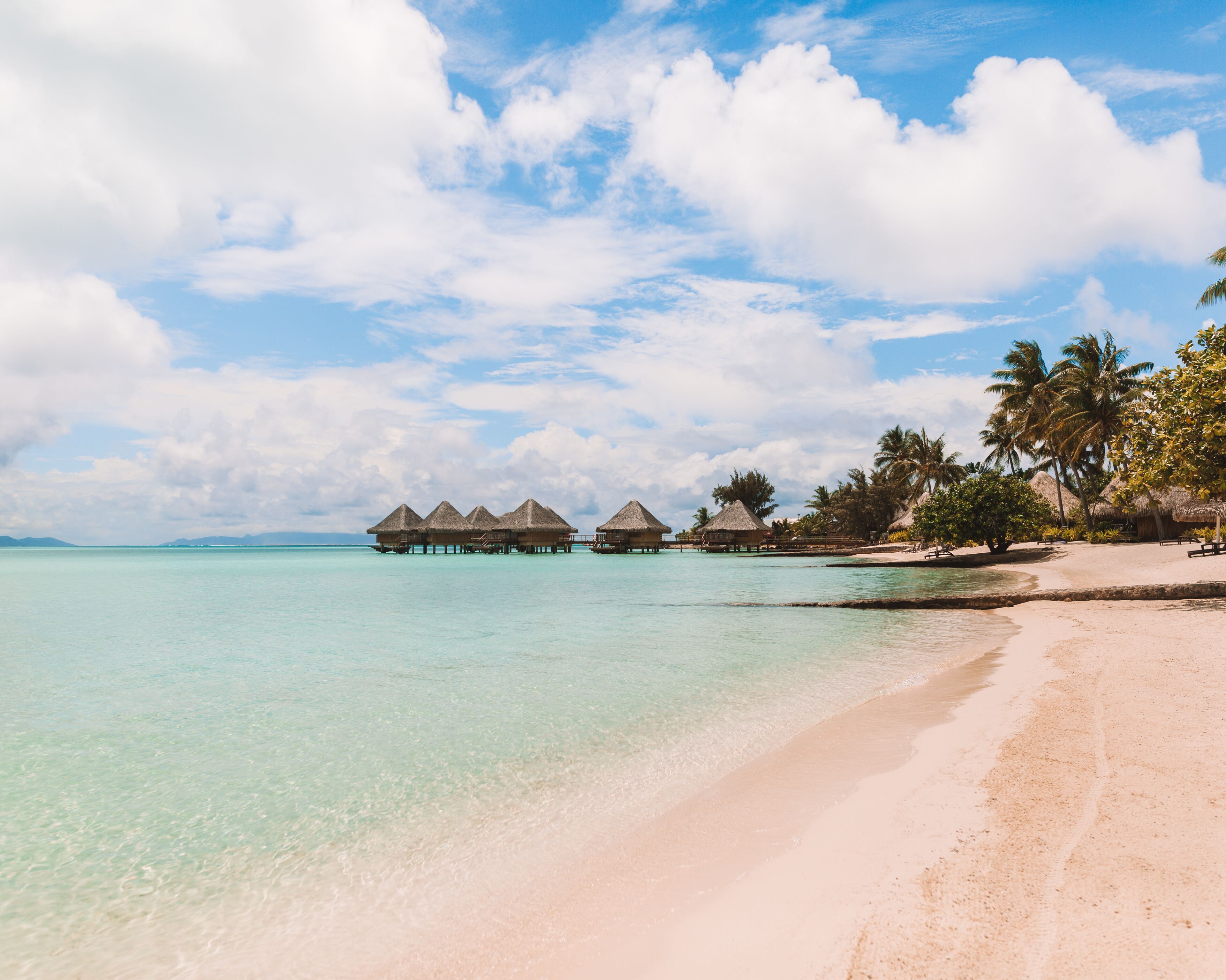 Una playa con bungalows sobre el agua y palmeras.