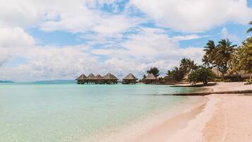 Una playa con bungalows sobre el agua y palmeras.